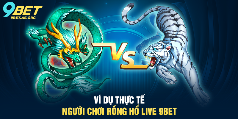 Ví dụ thực tế người chơi Rồng Hổ Live 9BET
